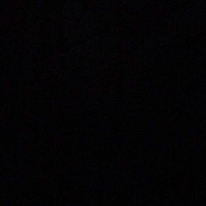 Meet your Posher, Lucy